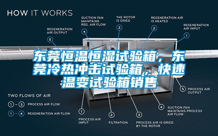 东莞恒温恒湿试验箱，东莞冷热冲击试验箱，快速温变试验箱销售