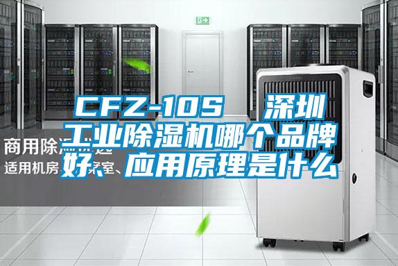 CFZ-10S  深圳工业芭乐APP下载官网入口新版哪个品牌好、应用原理是什么