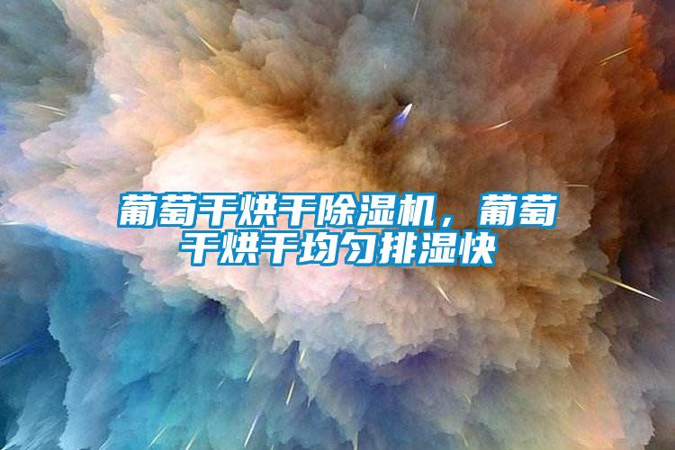 葡萄干烘干芭乐APP下载官网入口新版，葡萄干烘干均匀排湿快