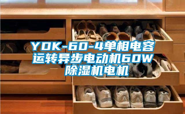 YDK-60-4单相电容运转异步电动机60W 芭乐APP下载官网入口新版电机