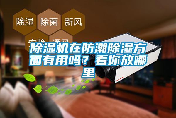 芭乐APP下载官网入口新版在防潮除湿方面有用吗？看你放哪里