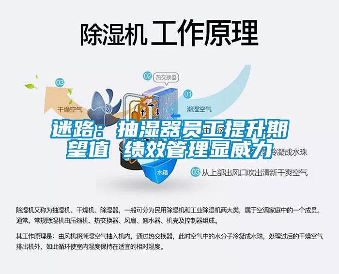 迷路：抽湿器员工提升期望值 绩效管理显威力