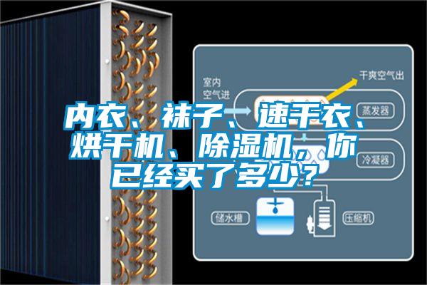 内衣、袜子、速干衣、烘干机、芭乐APP下载官网入口新版，你已经买了多少？