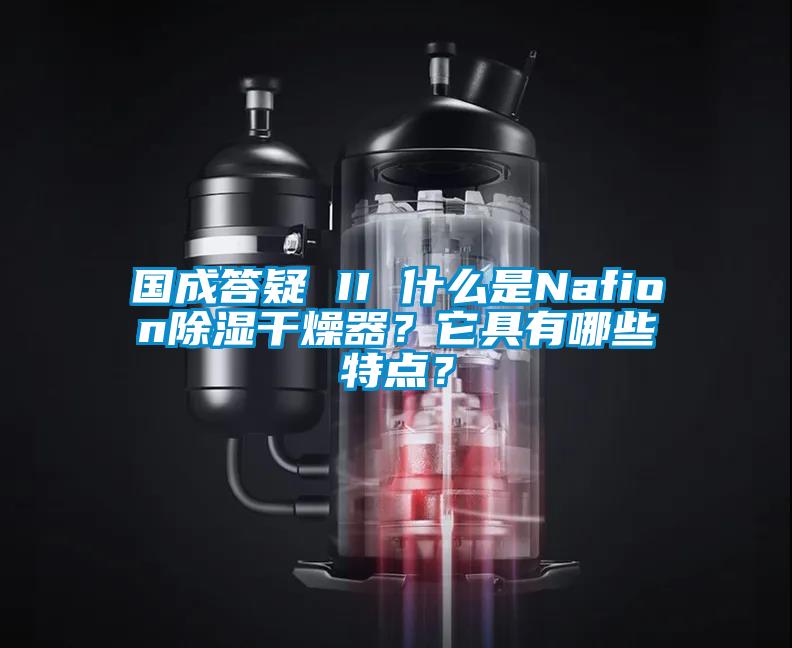 国成答疑 II 什么是Nafion除湿干燥器？它具有哪些特点？