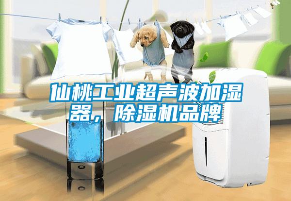 仙桃工业超声波加湿器，芭乐APP下载官网入口新版品牌