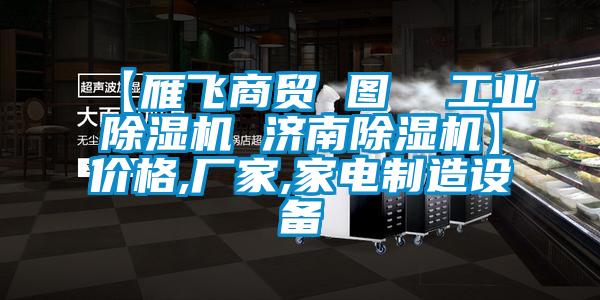 【雁飞商贸 图  工业芭乐APP下载官网入口新版 济南芭乐APP下载官网入口新版】价格,厂家,家电制造设备