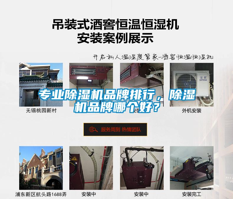 专业芭乐APP下载官网入口新版品牌排行，芭乐APP下载官网入口新版品牌哪个好？