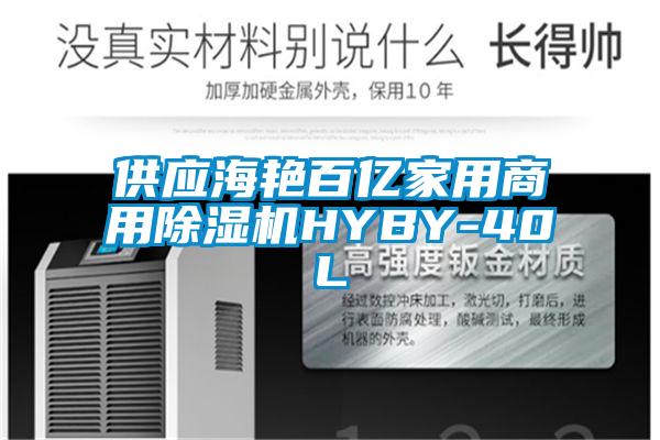 供应海艳百亿家用商用芭乐APP下载官网入口新版HYBY-40L