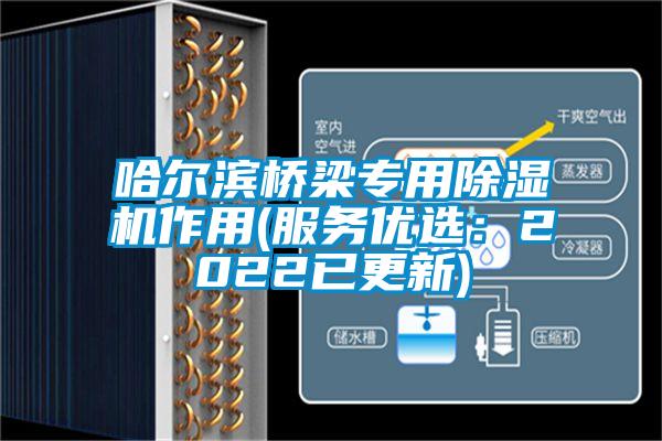 哈尔滨桥梁专用芭乐APP下载官网入口新版作用(服务优选：2022已更新)