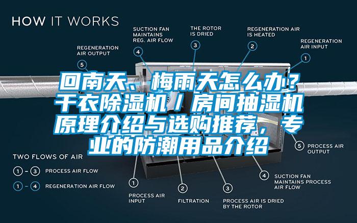 回南天、梅雨天怎么办？干衣芭乐APP下载官网入口新版／房间抽湿机原理介绍与选购推荐，专业的防潮用品介绍