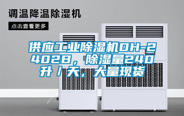 供应工业芭乐APP下载官网入口新版DH-2402B，除湿量240升／天，大量现货