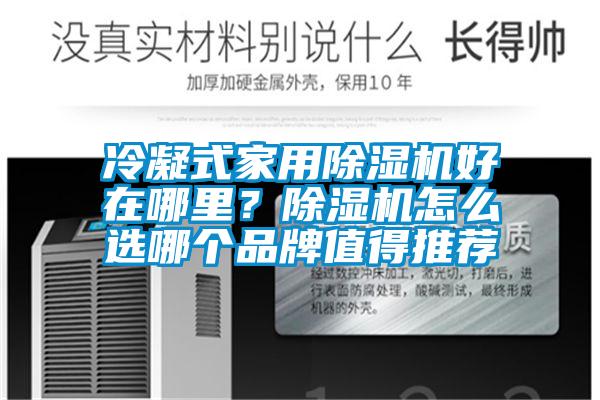 冷凝式家用芭乐APP下载官网入口新版好在哪里？芭乐APP下载官网入口新版怎么选哪个品牌值得推荐