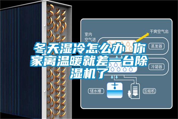 冬天湿冷怎么办 你家离温暖就差一台芭乐APP下载官网入口新版了