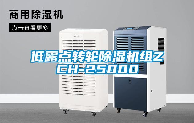 低露点转轮芭乐APP下载官网入口新版组ZCH-25000