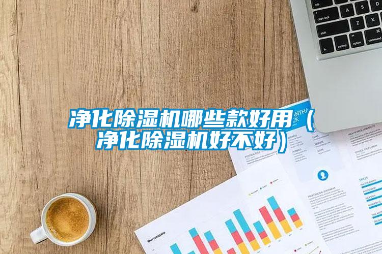 净化芭乐APP下载官网入口新版哪些款好用（净化芭乐APP下载官网入口新版好不好）