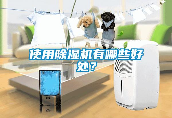 使用芭乐APP下载官网入口新版有哪些好处？