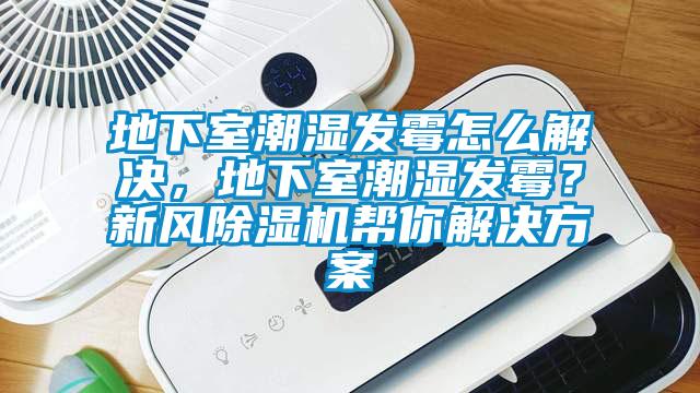 地下室潮湿发霉怎么解决，地下室潮湿发霉？新风芭乐APP下载官网入口新版帮你污芭乐成人