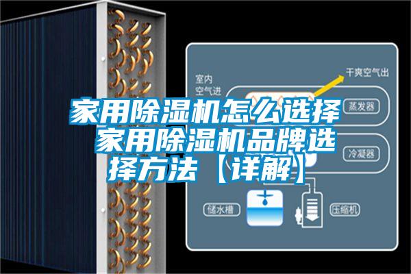 家用芭乐APP下载官网入口新版怎么选择 家用芭乐APP下载官网入口新版品牌选择方法【详解】