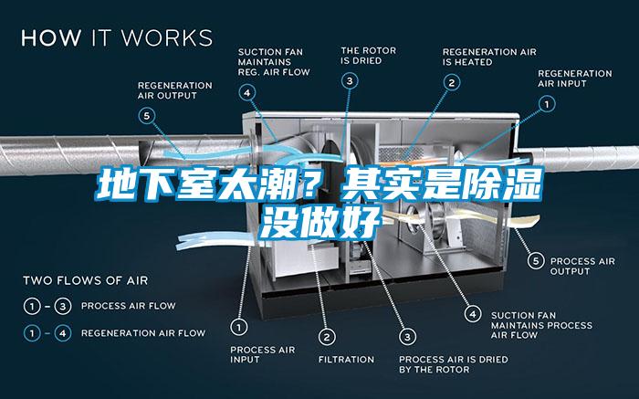 地下室太潮？其实是除湿没做好