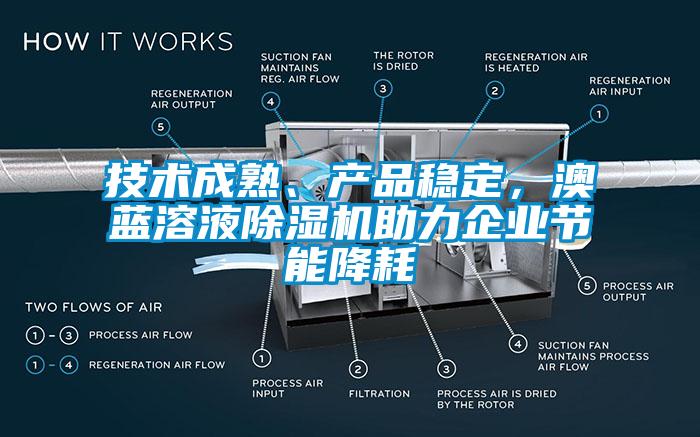 技术成熟、产品稳定，澳蓝溶液芭乐APP下载官网入口新版助力企业节能降耗