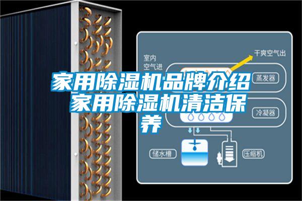 家用芭乐APP下载官网入口新版品牌介绍 家用芭乐APP下载官网入口新版清洁保养