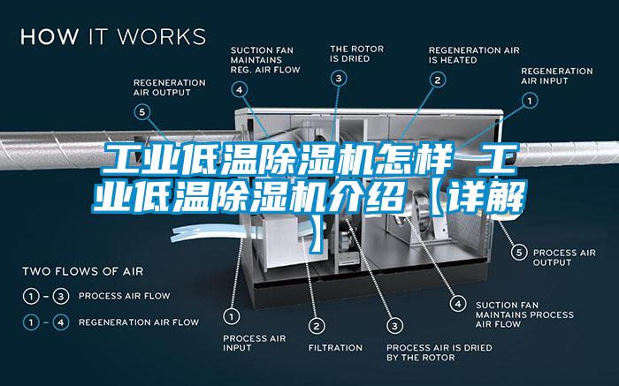 工业低温芭乐APP下载官网入口新版怎样 工业低温芭乐APP下载官网入口新版介绍【详解】