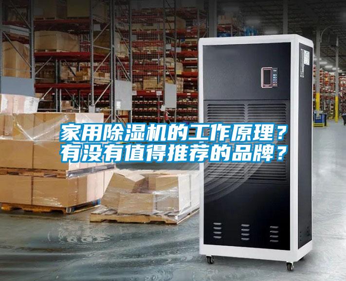 家用芭乐APP下载官网入口新版的工作原理？有没有值得推荐的品牌？