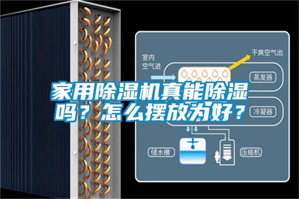 家用芭乐APP下载官网入口新版真能除湿吗？怎么摆放为好？