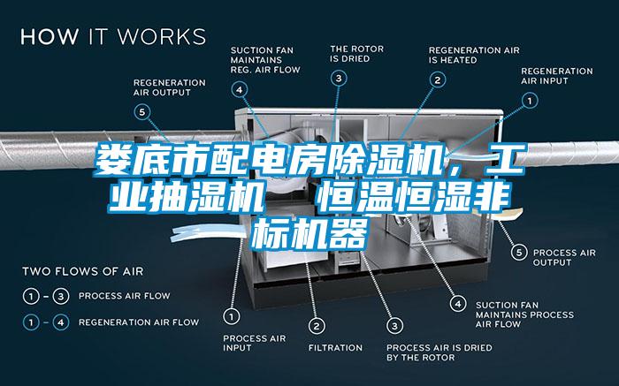 娄底市配电房芭乐APP下载官网入口新版，工业抽湿机  恒温恒湿非标机器