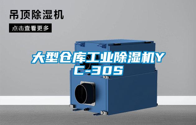 大型仓库工业芭乐APP下载官网入口新版YC-30S