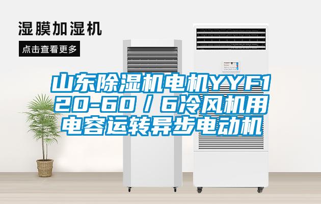 山东芭乐APP下载官网入口新版电机YYF120-60／6冷风机用电容运转异步电动机