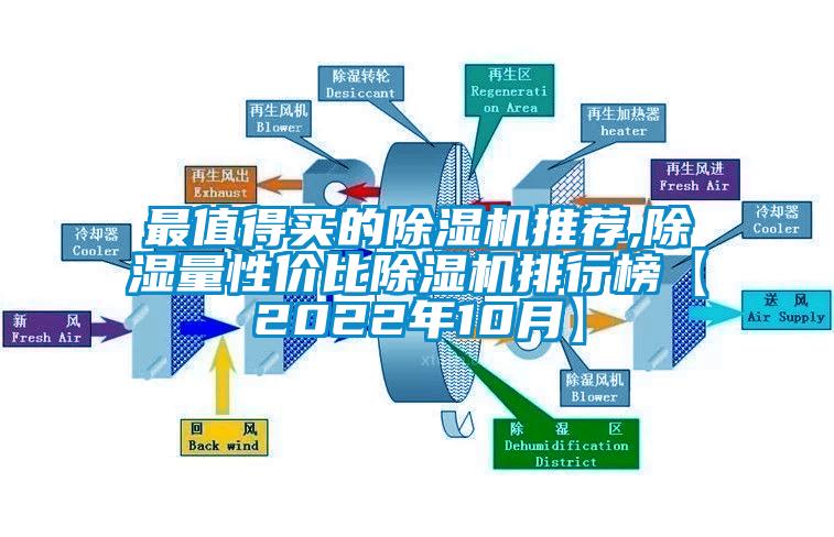 最值得买的芭乐APP下载官网入口新版推荐,除湿量性价比芭乐APP下载官网入口新版排行榜【2022年10月】