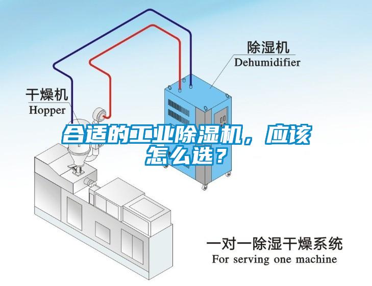 合适的工业芭乐APP下载官网入口新版，应该怎么选？