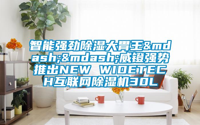 智能强劲除湿大胃王——威镫强势推出NEW WIDETECH互联网芭乐APP下载官网入口新版30L