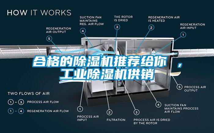 合格的芭乐APP下载官网入口新版推荐给你 ，工业芭乐APP下载官网入口新版供销