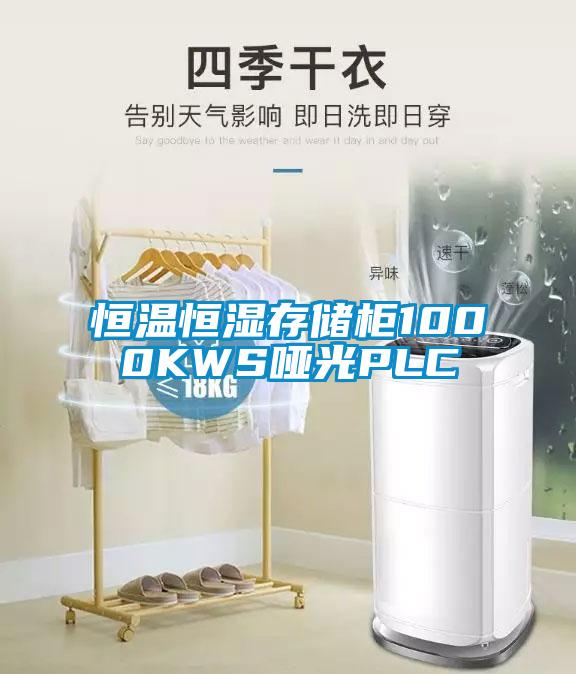 恒温恒湿存储柜1000KWS哑光PLC