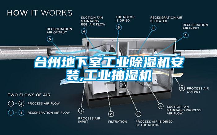 台州地下室工业芭乐APP下载官网入口新版安装,工业抽湿机