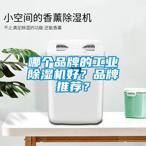 哪个品牌的工业芭乐APP下载官网入口新版好？品牌推荐？