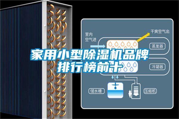 家用小型芭乐APP下载官网入口新版品牌排行榜前十