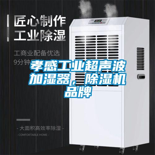 孝感工业超声波加湿器，芭乐APP下载官网入口新版品牌