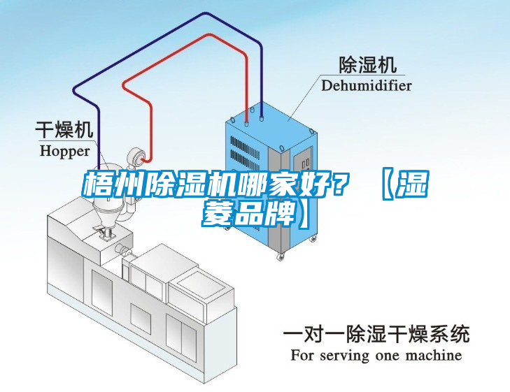 梧州芭乐APP下载官网入口新版哪家好？【湿菱品牌】