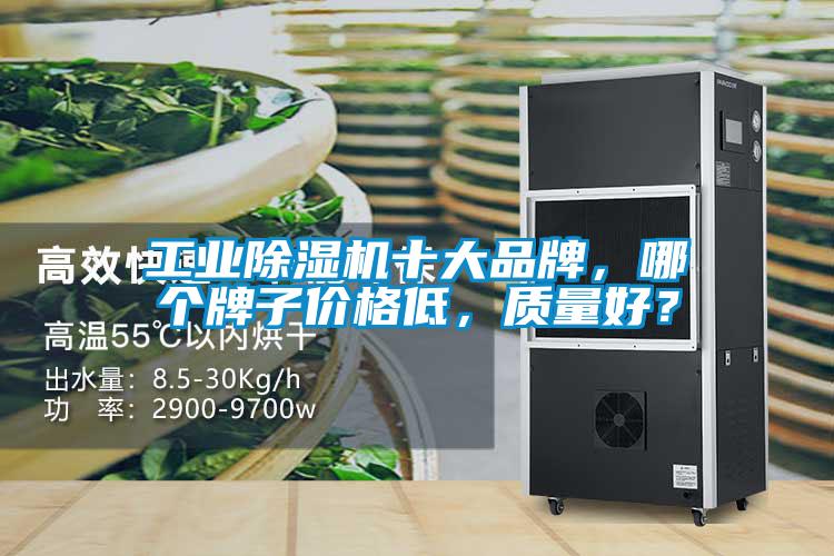 工业芭乐APP下载官网入口新版十大品牌，哪个牌子价格低，质量好？