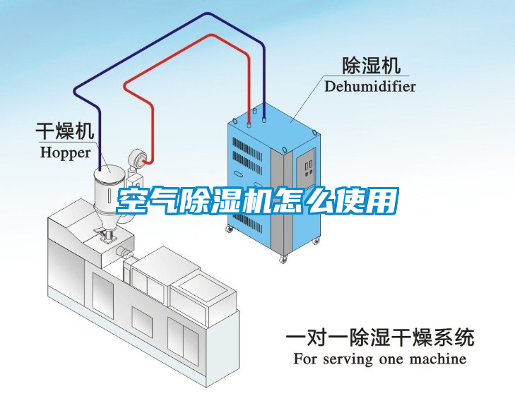 空气芭乐APP下载官网入口新版怎么使用