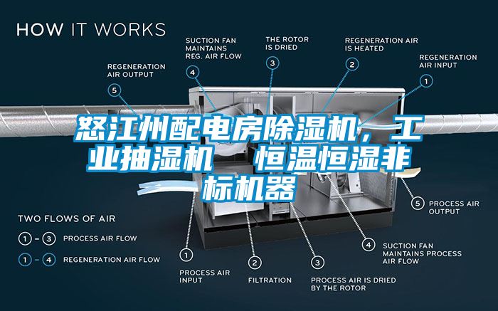 怒江州配电房芭乐APP下载官网入口新版，工业抽湿机  恒温恒湿非标机器