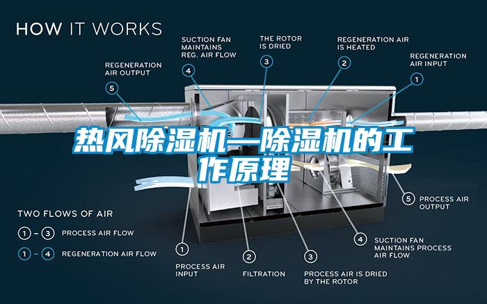 热风芭乐APP下载官网入口新版—芭乐APP下载官网入口新版的工作原理