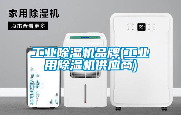 工业芭乐APP下载官网入口新版品牌(工业用芭乐APP下载官网入口新版供应商)