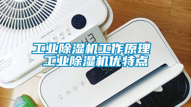 工业芭乐APP下载官网入口新版工作原理 工业芭乐APP下载官网入口新版优特点