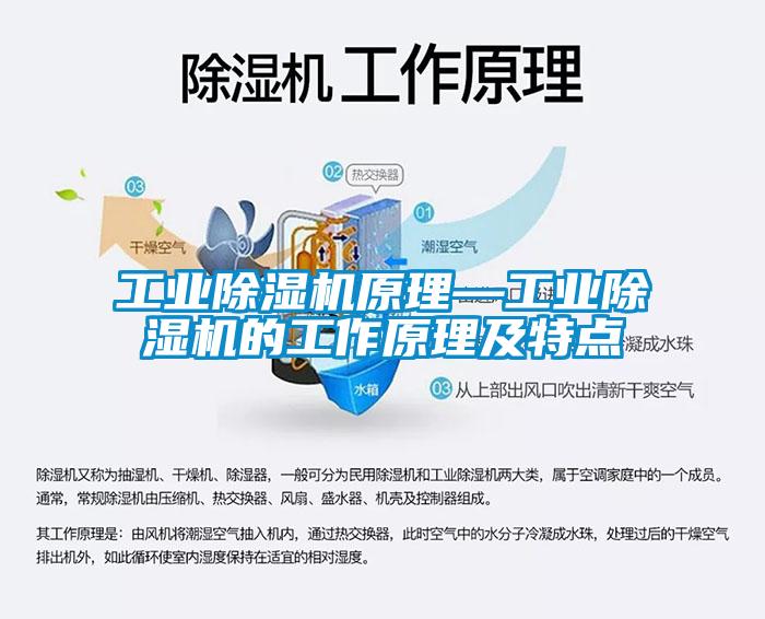 工业芭乐APP下载官网入口新版原理—工业芭乐APP下载官网入口新版的工作原理及特点