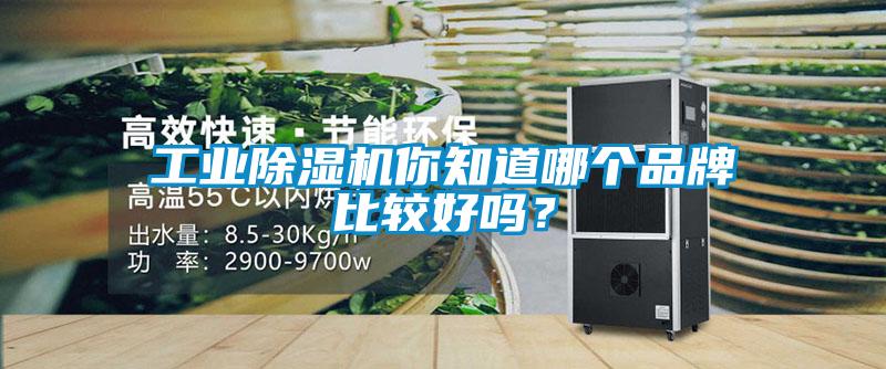 工业芭乐APP下载官网入口新版你知道哪个品牌比较好吗？