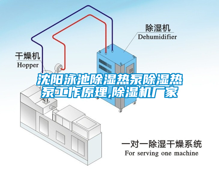 沈阳泳池除湿热泵除湿热泵工作原理,芭乐APP下载官网入口新版厂家